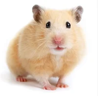 Hamster TF