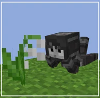 Wither skeleton 