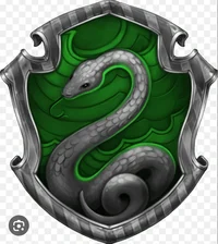 Slytherin boys