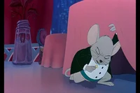 Bernard Tuxedo Mouse