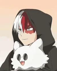 Shoto Todoroki 