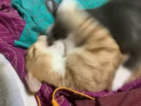 Horror movie