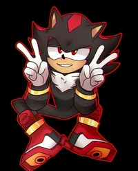 Shadow the hedgehog 