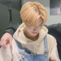 Han Jisung Your BF