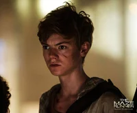 Newt-Maze Runner