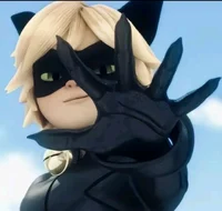 Kara Kedi