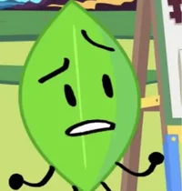 Leafy bfdi