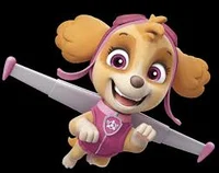 Paw patrol Skye tf