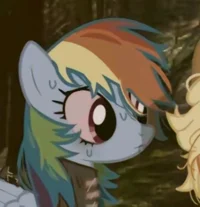 Rainbow Dash