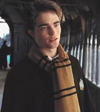 Cedric Diggory