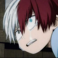 Shoto Todoroki