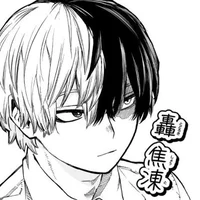 Shoto Todoroki 