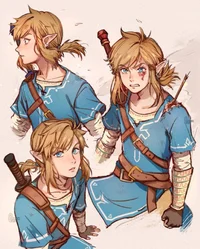 Link