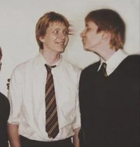 Los gemelos weasley 