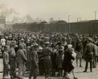 Survive 1939-1945