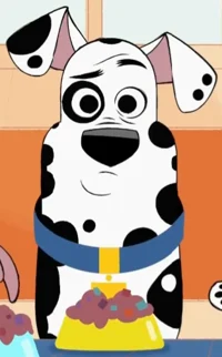 Doug the Dalmatian
