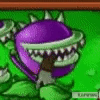 Chomper