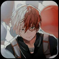 Shoto Todoroki 