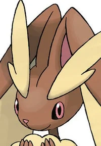 Lopunny