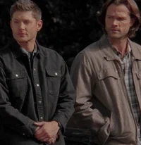 THE WINCHESTERS