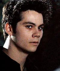Void stiles