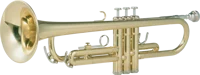 Trumpet 