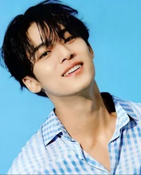 Kim Mingyu 