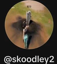 Skoodleys 2 Account