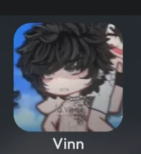 vinn