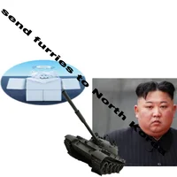 send furry n Korea