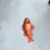 YourAverageSpaceNerd