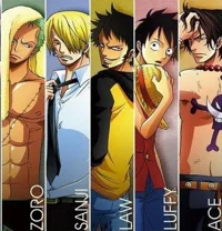 Luffy Z S L A