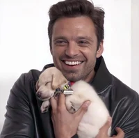 sebastian stan