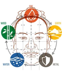 Elemental Map