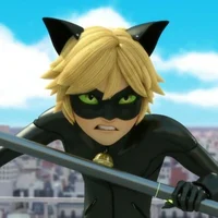 Cat Noir