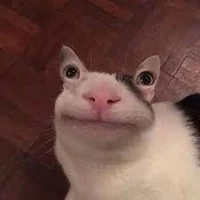 tralalalalalallaaaaa