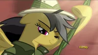 Daring Do -W-