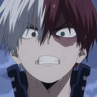 Shoto Todoroki