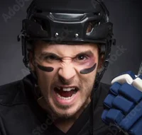 ANGRY HOCKEY