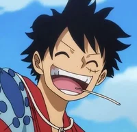 Luffy - Law POV