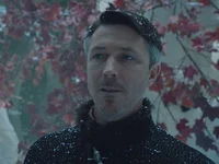 Petyr Baelish 