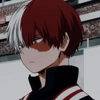 Shoto Todorki