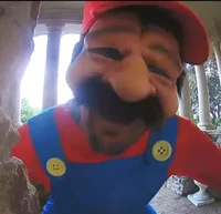 Ring cam Mario