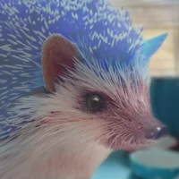 Pet Sonic
