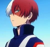 Shoto Todoroki