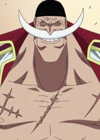 Whitebeard