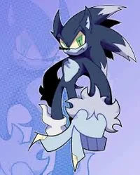Sonic -werehog-