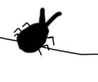 Some stupid bug