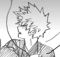 Katsuki Bakugou 