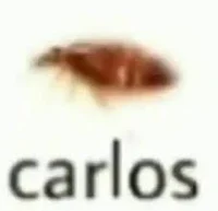 carlos